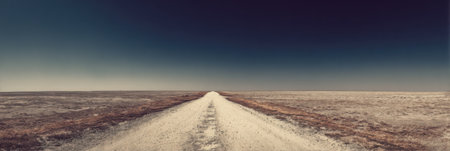 A long dirt road extends through a desolate terrain under an expansive, clear sky. The scene captures the solitude and stillness of nature.の素材