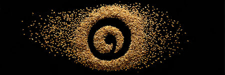 Golden grains form an intricate spiral design against a dark backdrop, showing creativity in materials and art technique during a studio project.の素材