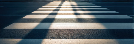 Shadows stretch across a crosswalk, creating visual interest on the asphalt as morning sunlight illuminates the scene along an urban street.の素材