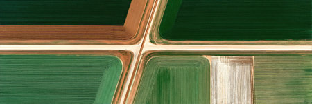 Lush green and brown agricultural fields meet at a rural intersection, showcasing neat rows of crops under bright midday sunlight.の素材