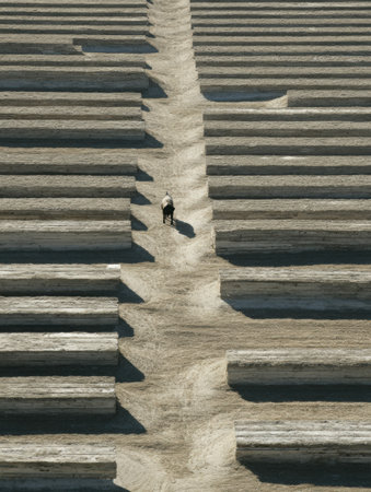 A worker walks through neatly arranged rows of timber logs in a remote location under bright sunlight, showcasing a unique, organized landscape.の素材