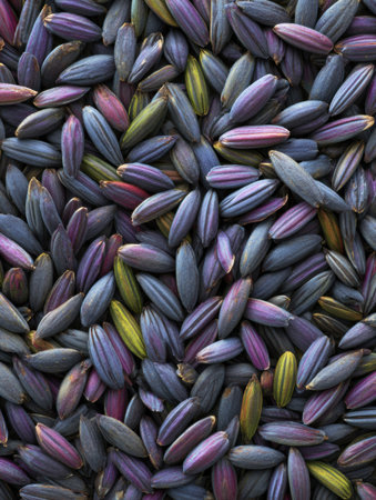 A close-up view displays a variety of seeds with striking colors, including deep purples and greens, scattered across a surface, creating an intricate pattern.の素材