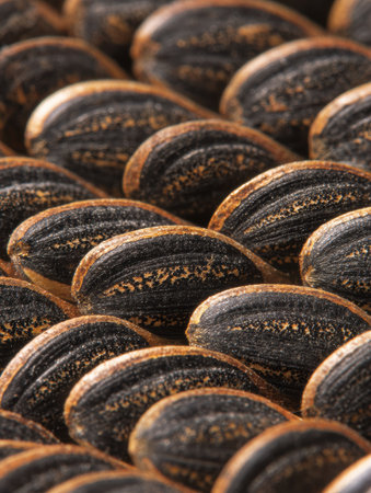 Close-up of roasted seeds displaying a rich texture and varying shades of brown and black, arranged closely together for a striking visual effect.の素材
