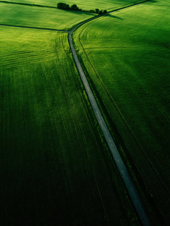 Aerial view shows lush green fields with a meandering road. The scene captures a serene landscape bathed in early morning light, creating a peaceful atmosphere.の素材