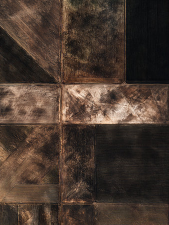 Aerial perspective captures agricultural fields with distinct textures and colors, reflecting various farming practices under soft late afternoon sunlightの素材