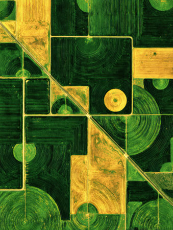 Aerial perspective reveals colorful agricultural patterns formed by fields of crops in various shapes and sizes during daylight hours.の素材