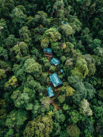 Three rustic cabins nestled within a dense, green rainforest canopy, showcasing natures beauty and tranquility at dusk.の素材