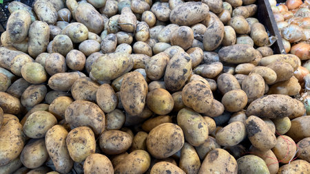 A market stall showcases fresh potatoes in various sizes, featuring their rough, earthy skin.の写真素材