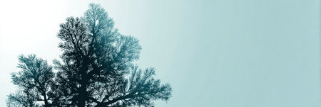 A dark silhouette of a tree stands out against a soft, serene background, creating a calming and peaceful atmosphere perfect for reflection.の素材