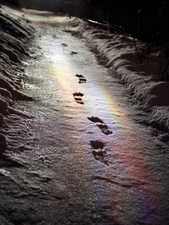 Footprints trail through fresh snow, marking a serene winter path, as soft rainbow colors reflect on the surface during a calm night.の素材