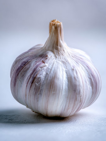 A fresh garlic bulb sits on a white background, illuminated by soft light, highlighting its unique texture and shapes.の素材