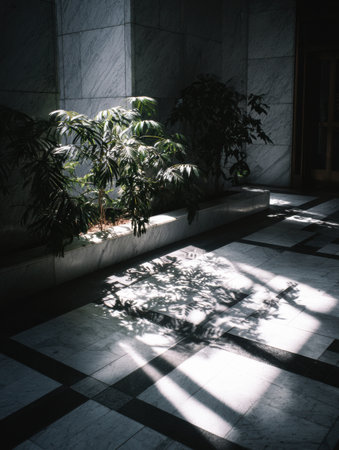 Bright sunlight filters through, creating intricate shadows of greenery on a polished marble floor in a modern space.の素材