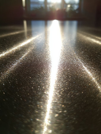 Soft sunlight creates shimmering reflections on a polished surface, enhancing the warm ambiance of the setting.の素材