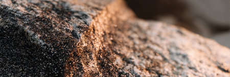 Sunlight highlights the intricate textures on a rock surface, revealing sparkling details in a peaceful outdoor setting.の素材