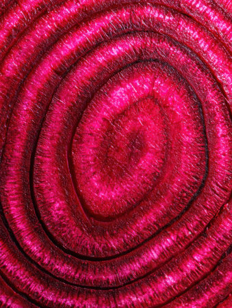 This artwork features striking pink concentric circles, revealing a layered organic texture with vivid color contrast.の素材