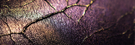 A vibrant, textured surface reveals delicate cracks, showing the artistry of nature and decay.の素材