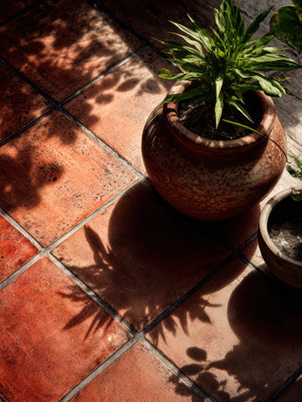 Sunlight creates intricate shadows from green plants resting in earthen pots on a red tiled floor.の素材