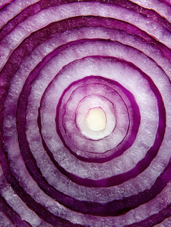 Vibrant red onion rings create a stunning visual pattern, showing shades of purple and white in detailed layers.の素材