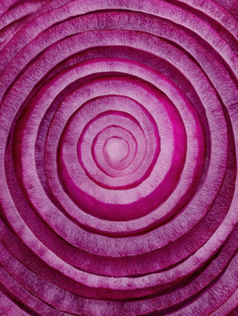 Sliced red onion showcases its rich purple hues and intricate layers, highlighting its natural beauty.の素材