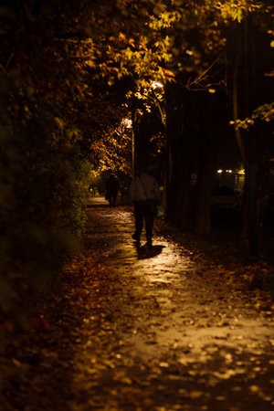 People walk along a leaf-covered pathway illuminated by warm streetlights during a peaceful evening.の写真素材