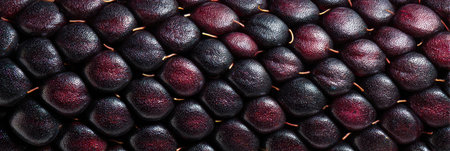 Dark textured surface featuring clusters of seeds with intricate patterns, showing natural beauty and vibrant colors in detail.の素材