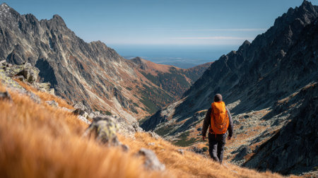 A solitary hiker in an orange backpack walks through a picturesque valley, surrounded by steep mountain ranges on a sunny day.の素材