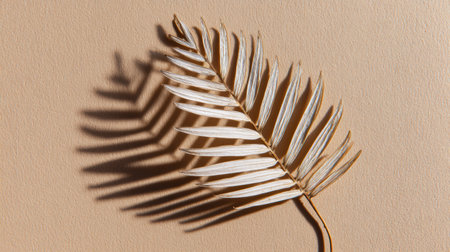 A dry palm leaf lies flat, creating intricate shadows against a soft beige backdrop, showing natures unique beauty and texture.の素材