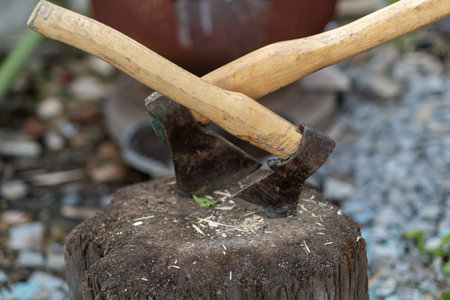 Wooden Handled Axe Embedded in a Tree Stump With Shavings Scattered on the Ground in a Rustic Outdoor Settingの写真素材