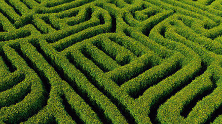 View from above shows a tangled maze with intricate paths, highlighting a feeling of confusion and the concept of being lost.の素材