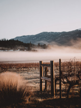 Morning mist gently blankets the vineyard, revealing a peaceful scene framed by a wooden fence and distant mountains.の素材