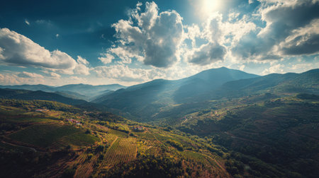 Vineyard fields expand over hills under bright sunlight, showing the beauty of eco-conscious wine production in nature.の素材
