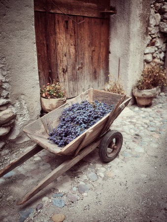 A rustic wooden wheelbarrow is loaded with fresh grapes, set against a charming rural backdrop during grape harvest time.の素材