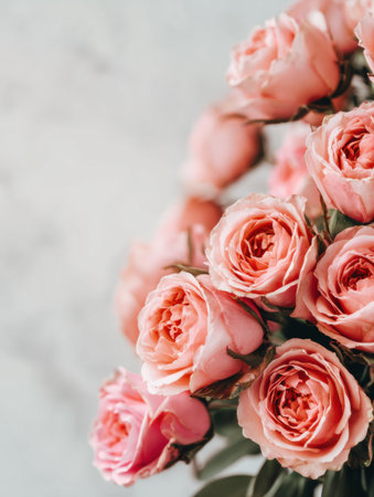 Soft pink roses create a romantic atmosphere with a bright, clean background. The edges are blurred, directing focus to the flowers.の素材
