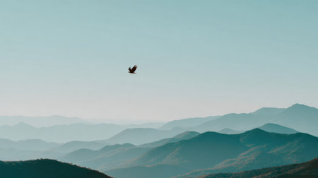 Bald eagle soars across a wide landscape of mountains under an expansive sky, embodying a symbol of freedom in many cultures.の素材