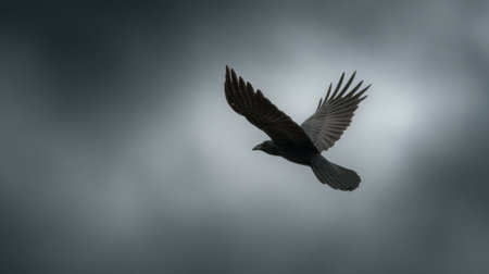 A crow glides through a foggy sky, embodying transition and omens in Nordic culture, illustrating the connection between nature and beliefs.の素材