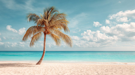 Coconut palm tree stands alone on a serene tropical beach with turquoise waters and soft sand, offering a peaceful and relaxing atmosphere.の素材