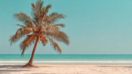 Enjoy a tranquil beach setting featuring a single coconut palm tree beside calm turquoise water and soft sand. Perfect for relaxation.の素材