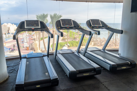 Three treadmills are positioned by large windows, providing a view of the beach and palm trees during a tranquil morning exercise session.の写真素材