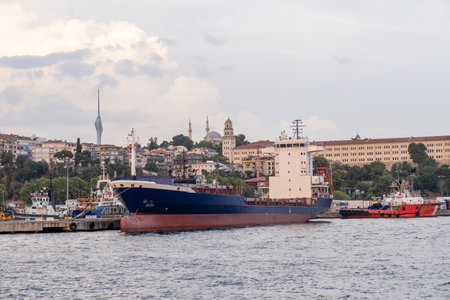 A cargo ship is docked along the Bosphorus waterfront near historic buildings, with a cloudy sky...