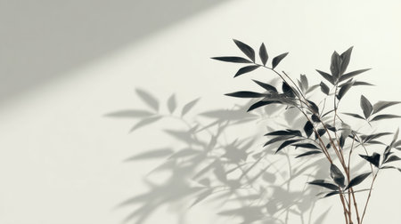 Bamboo leaves cast shadows on a bright white surface, forming a simple pattern that showcases the interplay of light and form.の素材