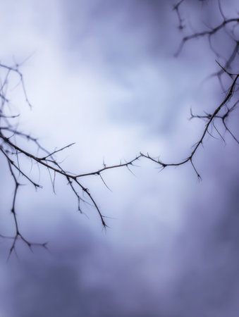 Branches form a natural frame around a dancer moving gracefully in the center space against a cloudy backdrop.の素材