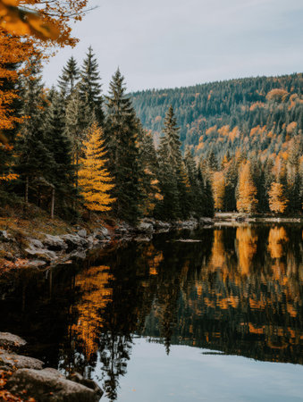 Autumn trees stand by the lake, reflecting vivid colors onto the smooth water as daylight fades in a quiet forest setting.の素材