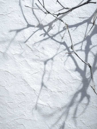 Bright sunlight casts gentle shadows of branches on a white paper surface, creating textures suitable for seasonal content or design purposes.の素材