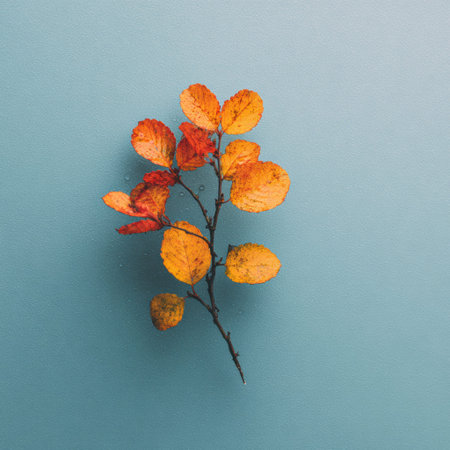 A branch with orange and yellow leaves is placed on a blue background showing the essence of autumn and natural elementsの素材