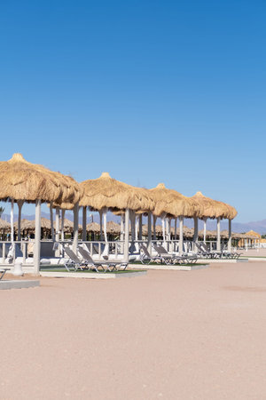 Beachside straw umbrellas and lounge chairs are lined up on the sandy shore, with a clear blue sky...