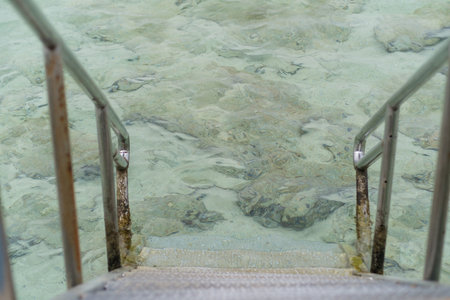 Metal staircase descends into clear turquoise water, showcasing visible rocks and coral formations beneath the surface in a tropical environmentの写真素材