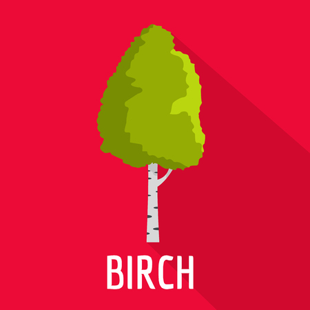 Birch tree icon. Flat illustration of birch tree icon for web.のイラスト素材