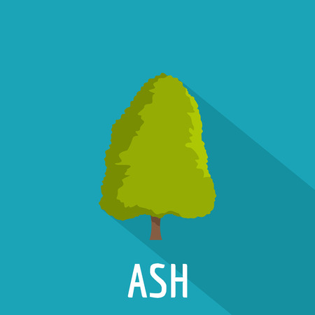 Ash tree icon. Flat illustration of ash tree icon for web.のイラスト素材