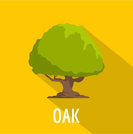 Oak tree icon. Flat illustration of oak tree vector icon for webのイラスト素材