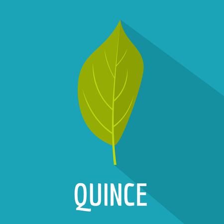 Quince leaf icon. Flat illustration of quince leaf icon for web.のイラスト素材